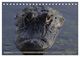 Thumbnail-14