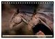 Thumbnail-12