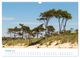Thumbnail-12