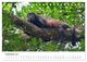Thumbnail-14