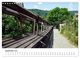 Thumbnail-14