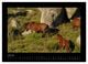 Thumbnail-8