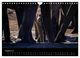 Thumbnail-10