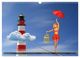 Thumbnail-14