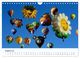 Thumbnail-13