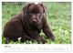 Thumbnail-10