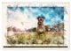 Thumbnail-9