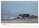 Thumbnail-14