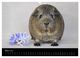 Thumbnail-8