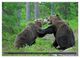 Thumbnail-10