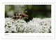 Thumbnail-11
