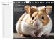 Thumbnail-12