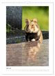 Thumbnail-14