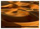 Thumbnail-13