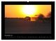 Thumbnail-13