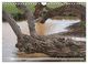 Thumbnail-9