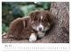 Thumbnail-11
