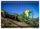 Thumbnail-10