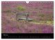 Thumbnail-10