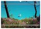 Thumbnail-11