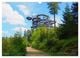 Thumbnail-11