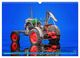 Thumbnail-14