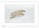 Thumbnail-14