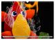 Thumbnail-11