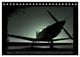 Thumbnail-7