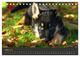 Thumbnail-8