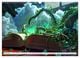 Thumbnail-10