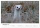 Thumbnail-11