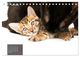 Thumbnail-8