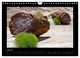 Thumbnail-12