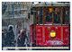 Thumbnail-14
