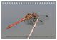 Thumbnail-9