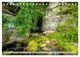Thumbnail-12