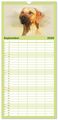 Thumbnail-14