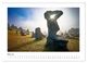 Thumbnail-10