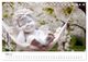 Thumbnail-14