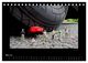 Thumbnail-10