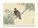 Thumbnail-14