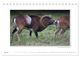 Thumbnail-9