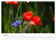 Thumbnail-12