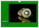 Thumbnail-14
