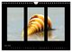 Thumbnail-10