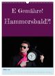 Thumbnail-12