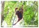Thumbnail-12
