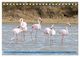 Thumbnail-14