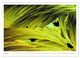 Thumbnail-11